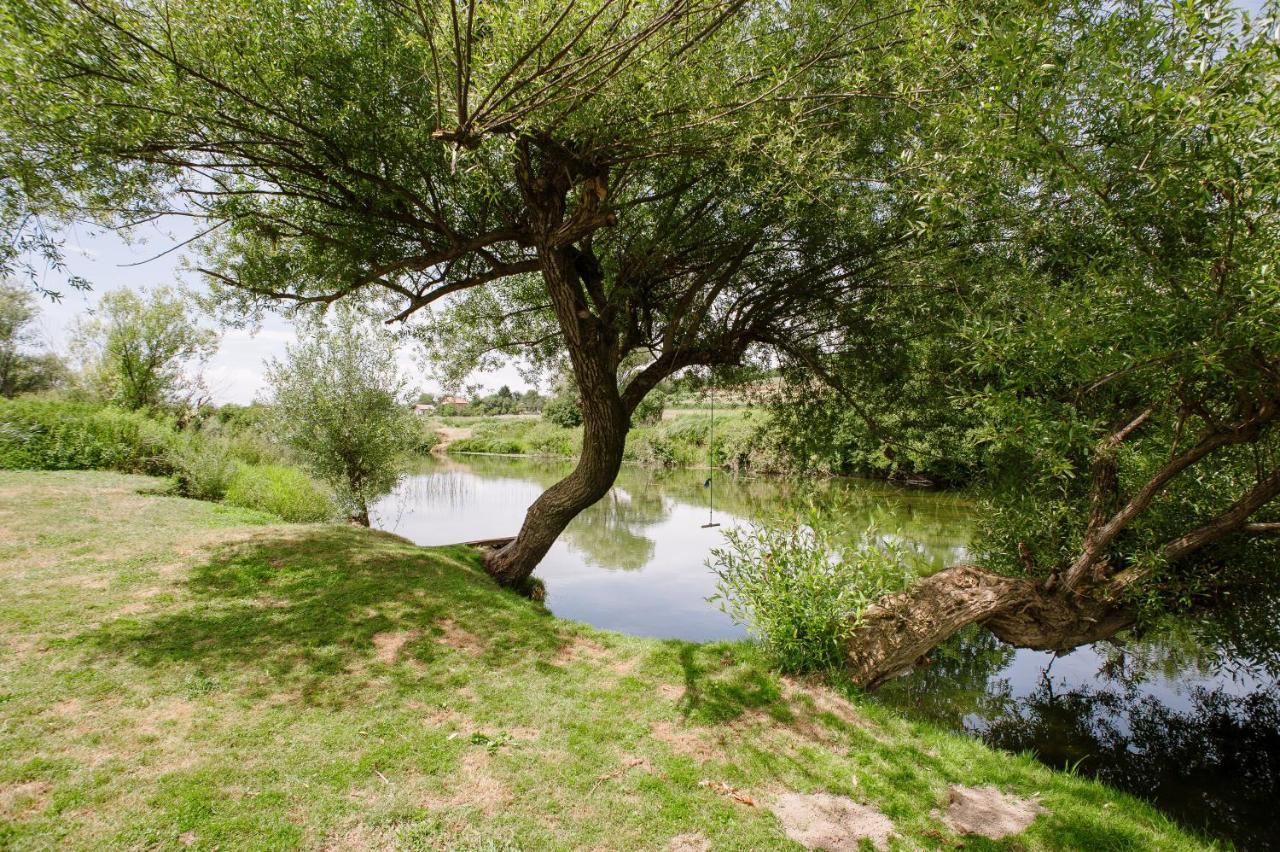 Traditional Houses Korana River Карловац Екстериор снимка