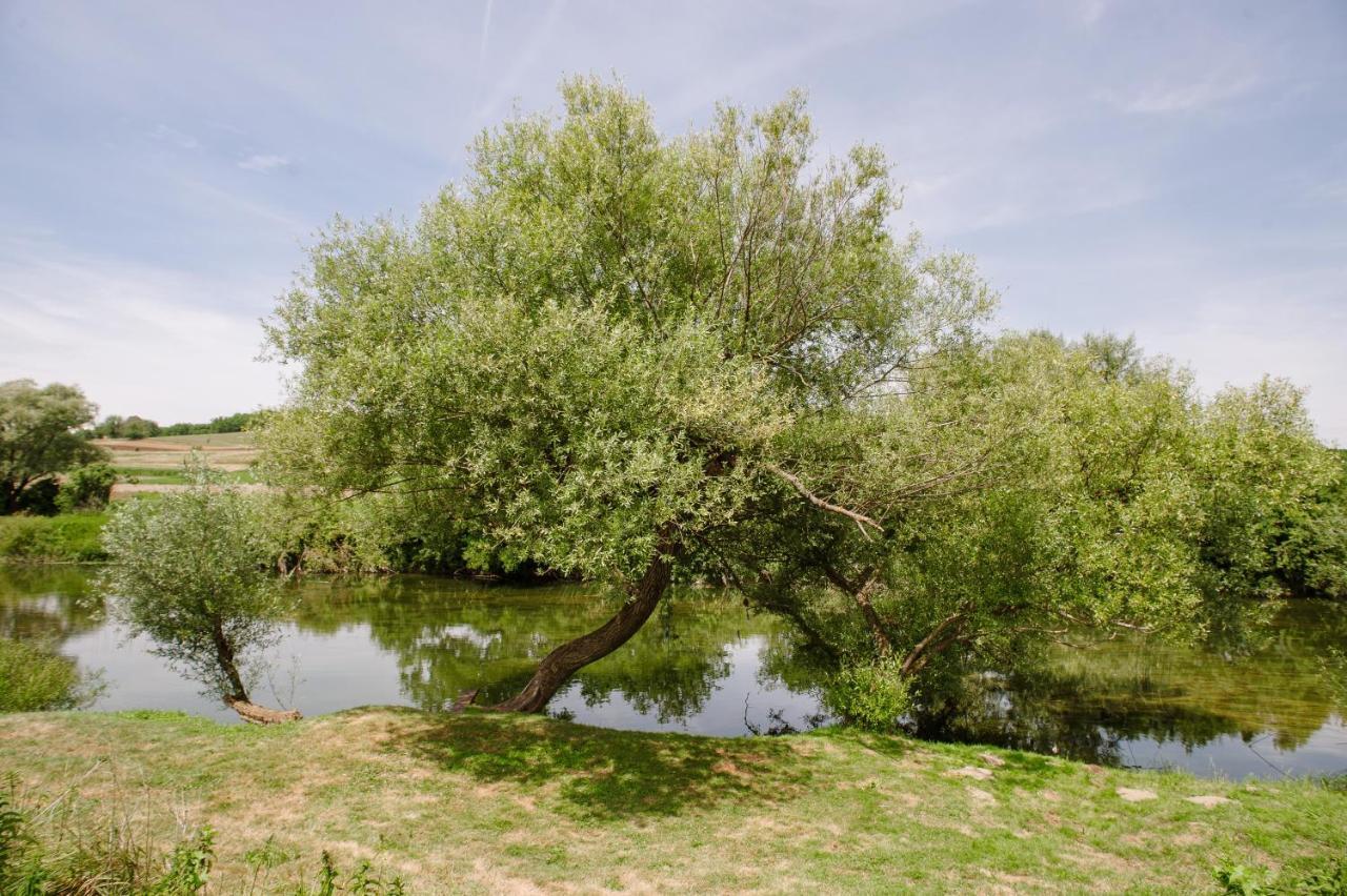 Traditional Houses Korana River Карловац Екстериор снимка